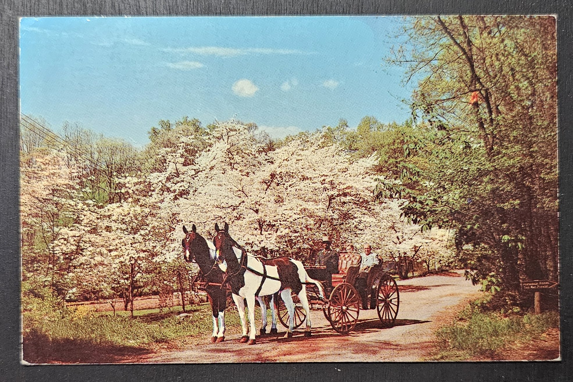 (image for) postcard USA - VA - Virginia #0034